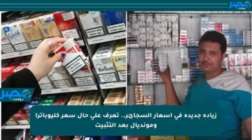 زيادة جديدة في أسعار السجائر.. تعرف على حال سعر كليوباترا ومونديال بعد التثبيت